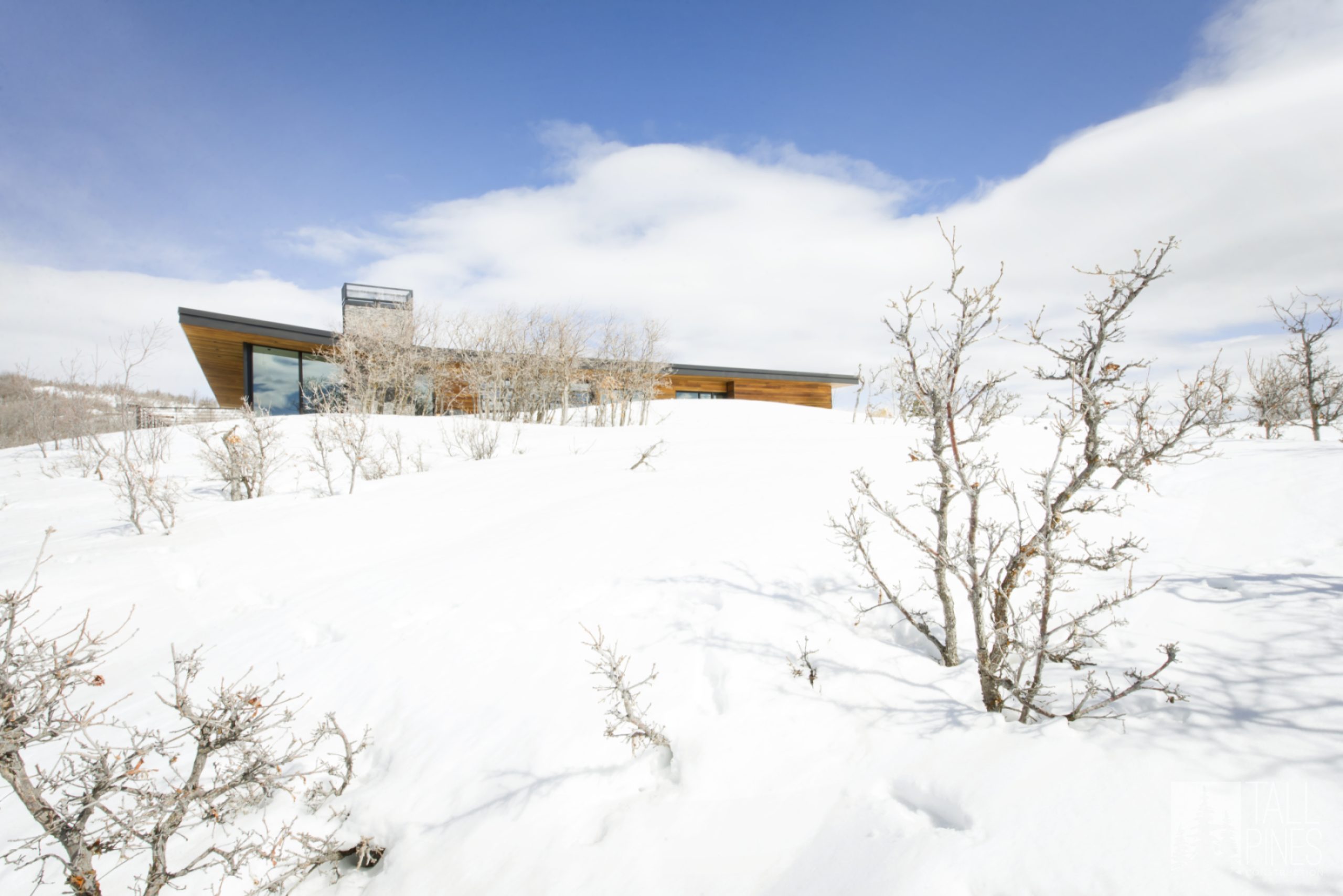 Exterior showcasing the Redhawk House's perfect integration with the mountain landscape