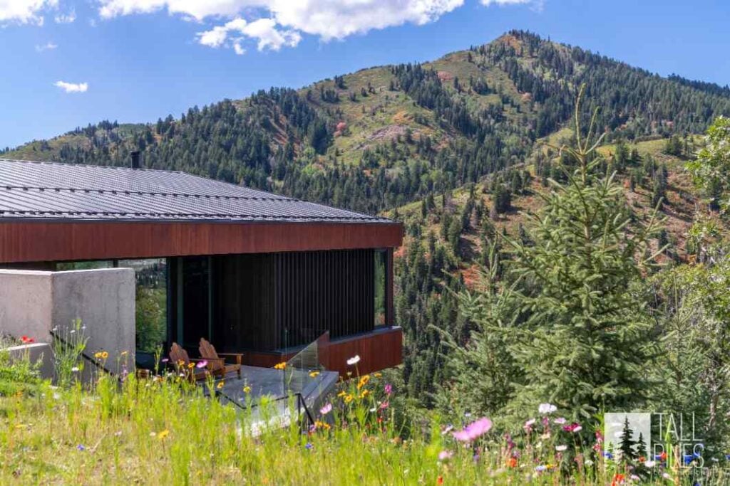 Contemporary custom home in Park City surrounded by wildflowers and mountain scenery.